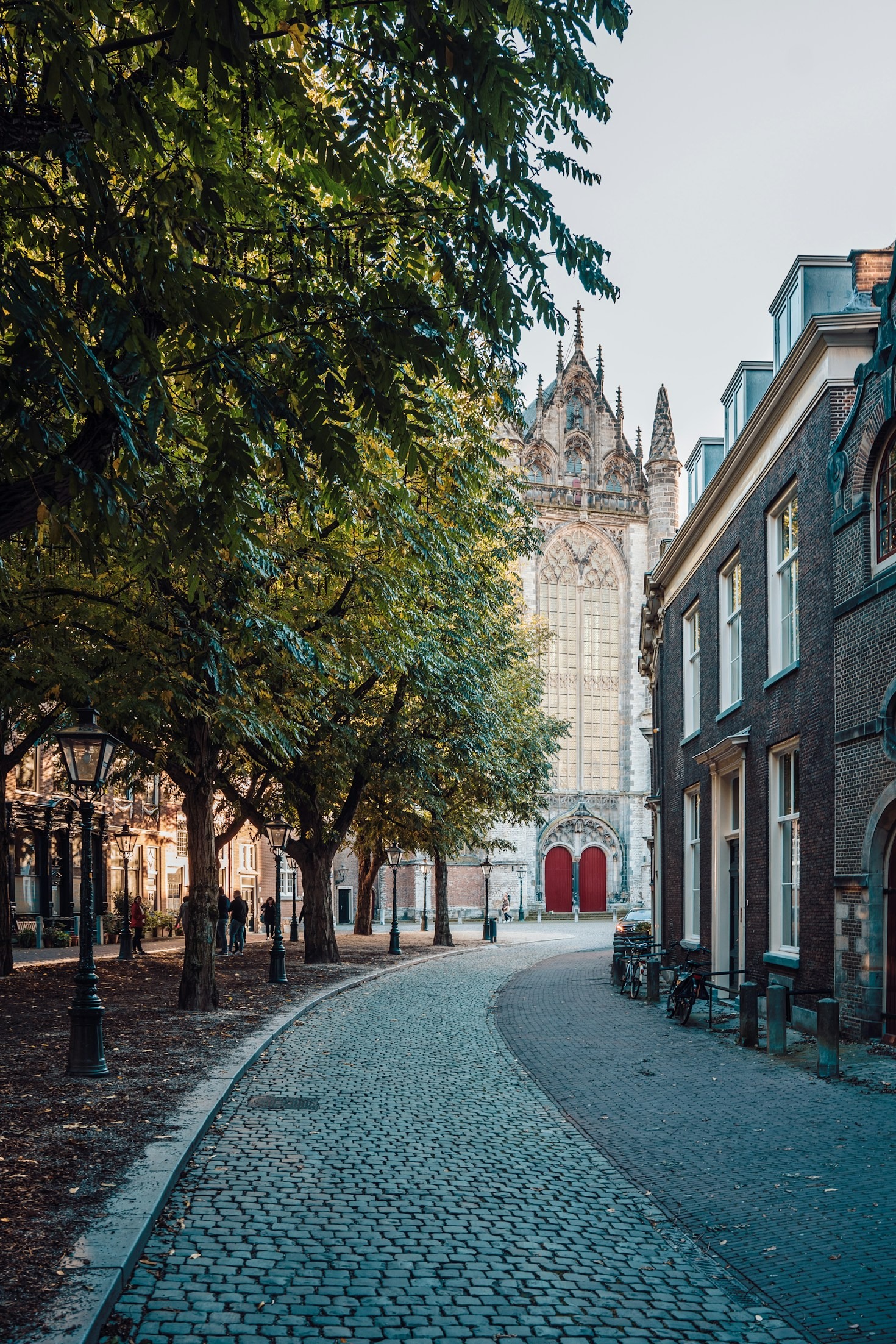 Praktische tips voor nieuwe bewoners in Leiden
